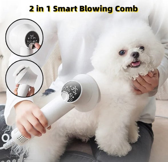 Pet Hair Dryer & Grooming Brush 2-in-1